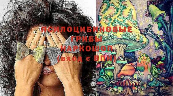 дурь Ханты-Мансийск