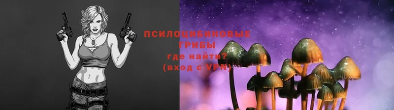 МЕГА tor  Великий Устюг  Галлюциногенные грибы мицелий 