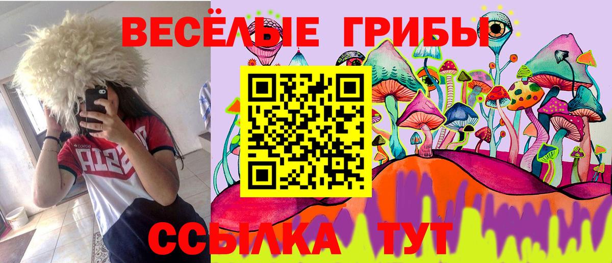 Галлюциногенные грибы Psilocybine cubensis  Псилоцибиновые грибы Magic Shrooms  Великий Устюг 